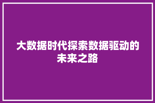 大数据时代探索数据驱动的未来之路