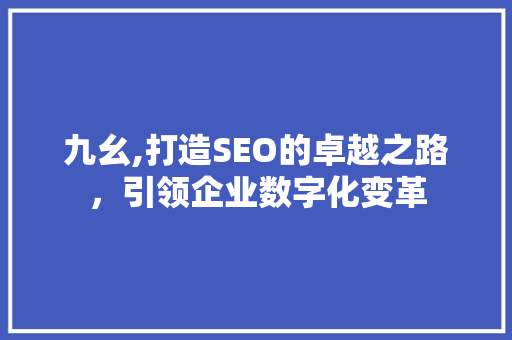 九幺,打造SEO的卓越之路，引领企业数字化变革 MySQL