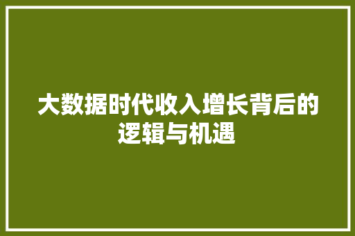 大数据时代收入增长背后的逻辑与机遇