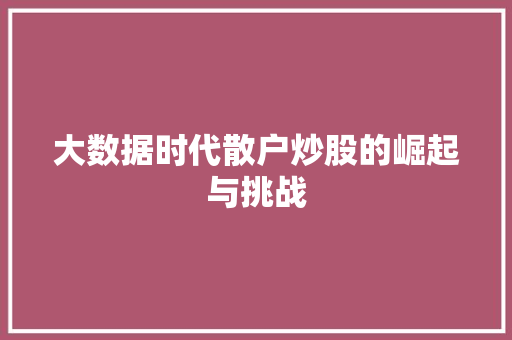 大数据时代散户炒股的崛起与挑战