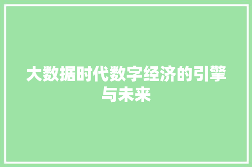 大数据时代数字经济的引擎与未来