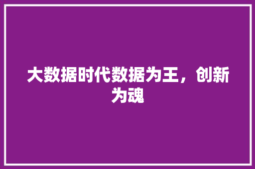 大数据时代数据为王，创新为魂