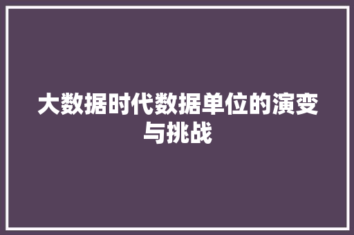 大数据时代数据单位的演变与挑战