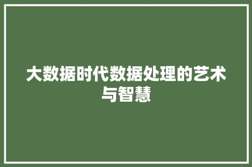 大数据时代数据处理的艺术与智慧