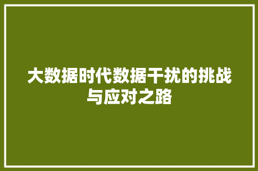 大数据时代数据干扰的挑战与应对之路