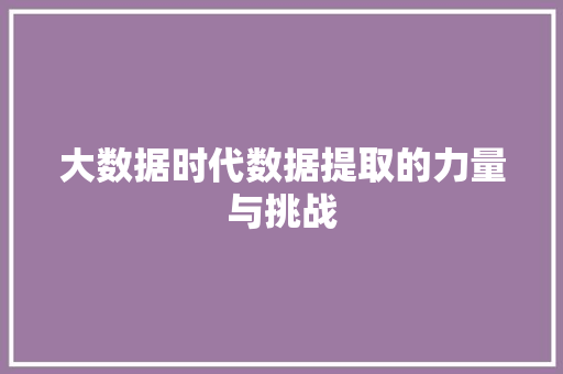 大数据时代数据提取的力量与挑战