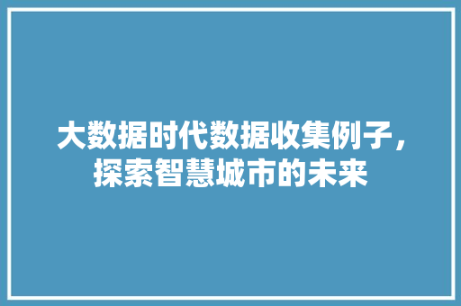 大数据时代数据收集例子，探索智慧城市的未来