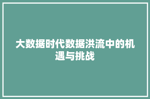 大数据时代数据洪流中的机遇与挑战