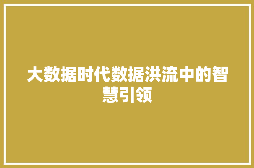 大数据时代数据洪流中的智慧引领
