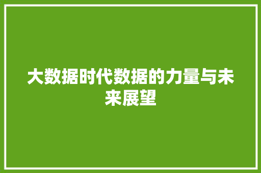 大数据时代数据的力量与未来展望