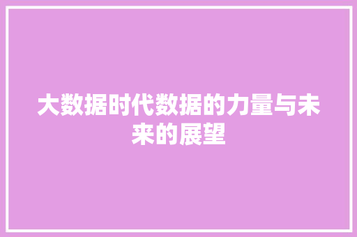 大数据时代数据的力量与未来的展望
