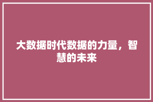 大数据时代数据的力量，智慧的未来