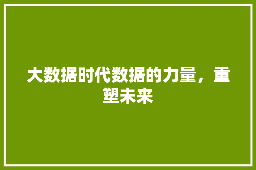 大数据时代数据的力量，重塑未来