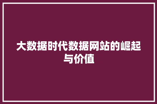 大数据时代数据网站的崛起与价值