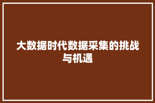 大数据时代数据采集的挑战与机遇