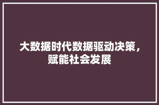 大数据时代数据驱动决策，赋能社会发展