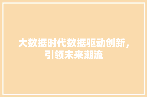 大数据时代数据驱动创新，引领未来潮流