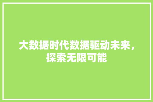 大数据时代数据驱动未来，探索无限可能