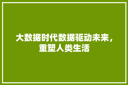 大数据时代数据驱动未来，重塑人类生活
