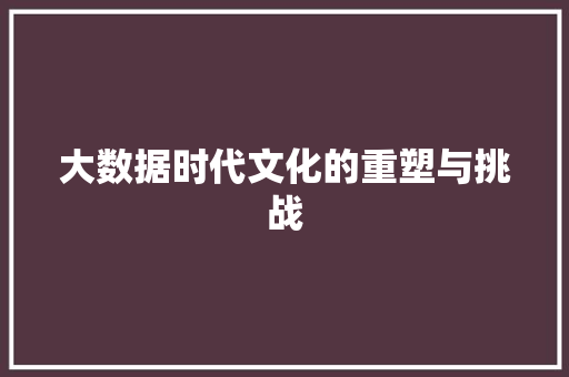 大数据时代文化的重塑与挑战