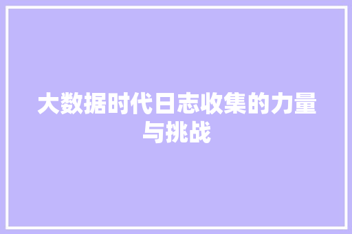 大数据时代日志收集的力量与挑战