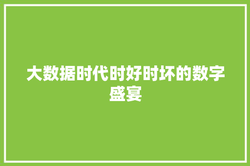 大数据时代时好时坏的数字盛宴