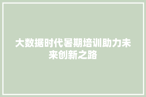 大数据时代暑期培训助力未来创新之路