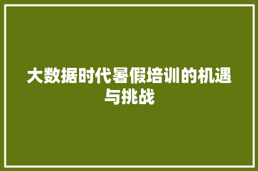 大数据时代暑假培训的机遇与挑战