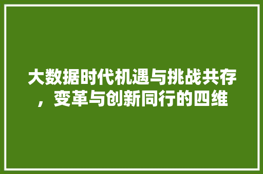 大数据时代机遇与挑战共存，变革与创新同行的四维