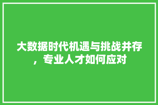 大数据时代机遇与挑战并存，专业人才如何应对