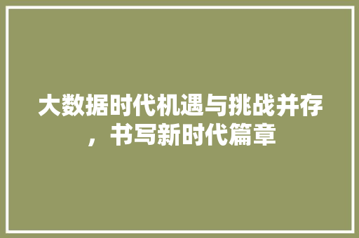 大数据时代机遇与挑战并存，书写新时代篇章