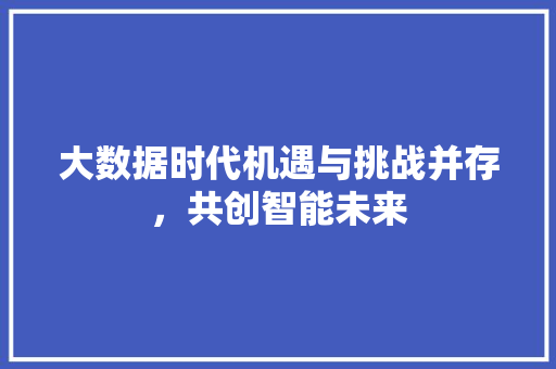 大数据时代机遇与挑战并存，共创智能未来