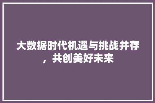 大数据时代机遇与挑战并存，共创美好未来