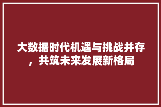 大数据时代机遇与挑战并存，共筑未来发展新格局