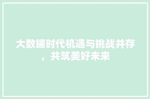 大数据时代机遇与挑战并存，共筑美好未来