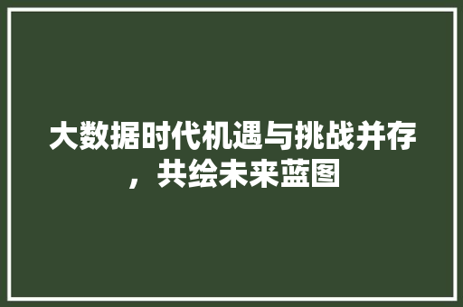 大数据时代机遇与挑战并存，共绘未来蓝图