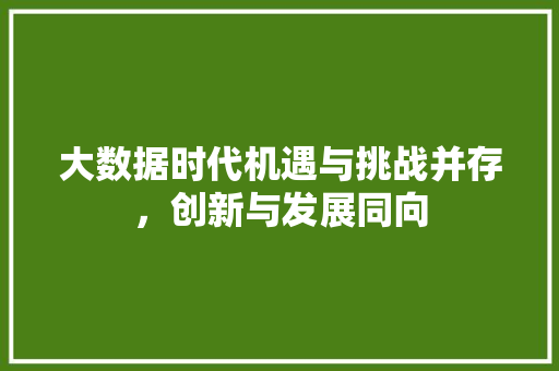 大数据时代机遇与挑战并存，创新与发展同向