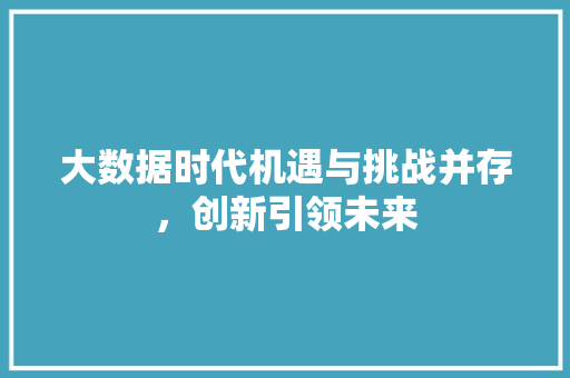 大数据时代机遇与挑战并存，创新引领未来