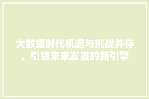 大数据时代机遇与挑战并存，引领未来发展的新引擎