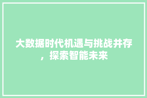大数据时代机遇与挑战并存，探索智能未来