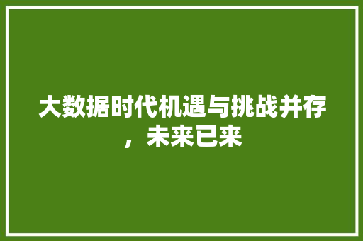 大数据时代机遇与挑战并存，未来已来