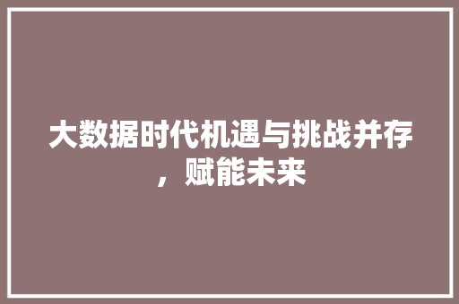 大数据时代机遇与挑战并存，赋能未来
