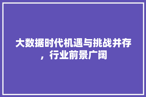 大数据时代机遇与挑战并存，行业前景广阔