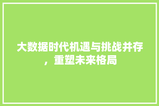 大数据时代机遇与挑战并存，重塑未来格局