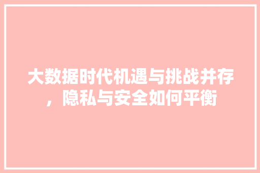 大数据时代机遇与挑战并存，隐私与安全如何平衡