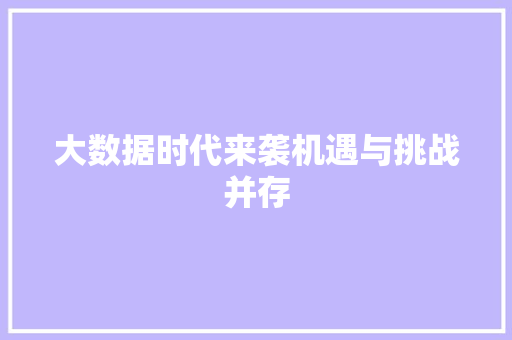 大数据时代来袭机遇与挑战并存