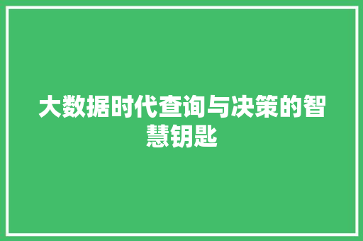 大数据时代查询与决策的智慧钥匙