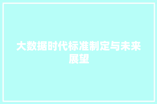 大数据时代标准制定与未来展望