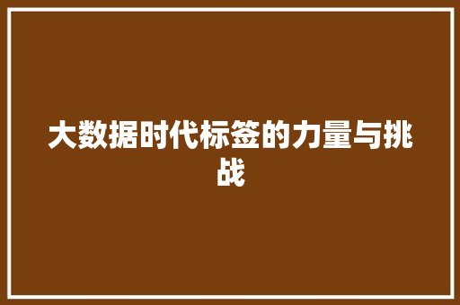 大数据时代标签的力量与挑战