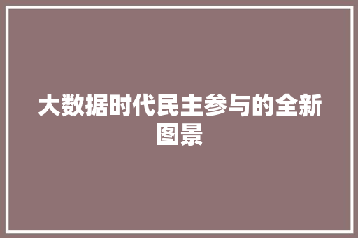 大数据时代民主参与的全新图景